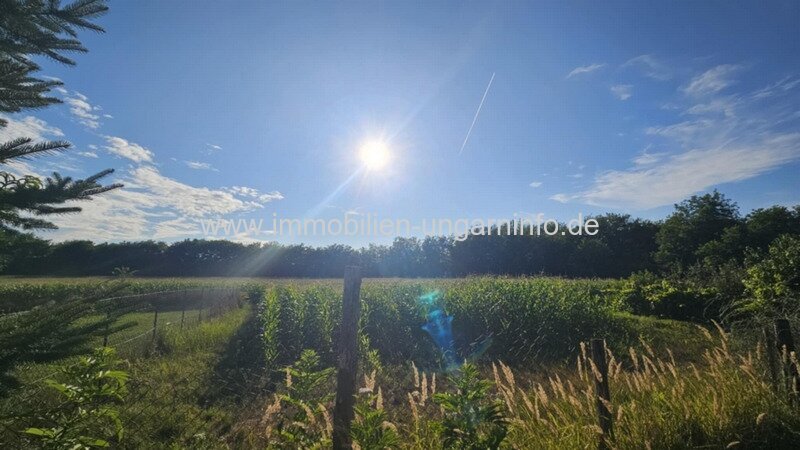 Billig Haus 20 km vom Balaton entfernt