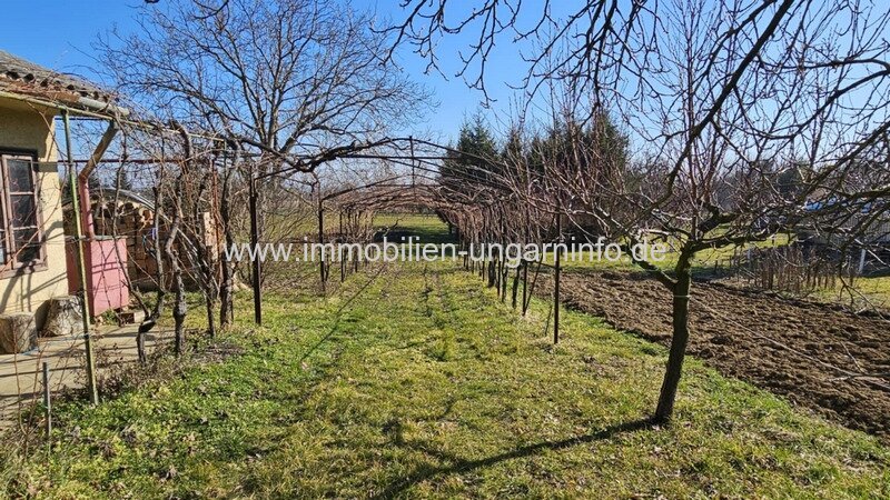 In den Weinbergen von Marcali Keller/Ferienhaus auf Panoramagrundstück zu verkaufen