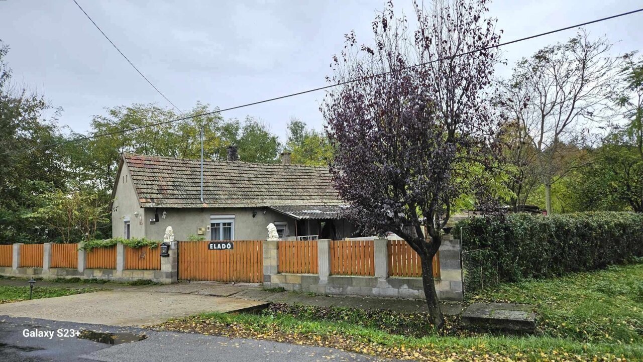 Einfamilienhaus mit großem Grundstück und Wald in der Nähe des Plattensees