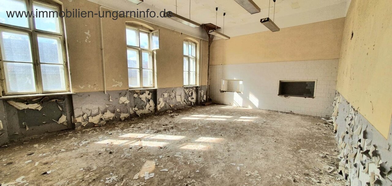 Eladó egy 250 m²-es épület 0,5 hektáros telekkel a Balaton közelében