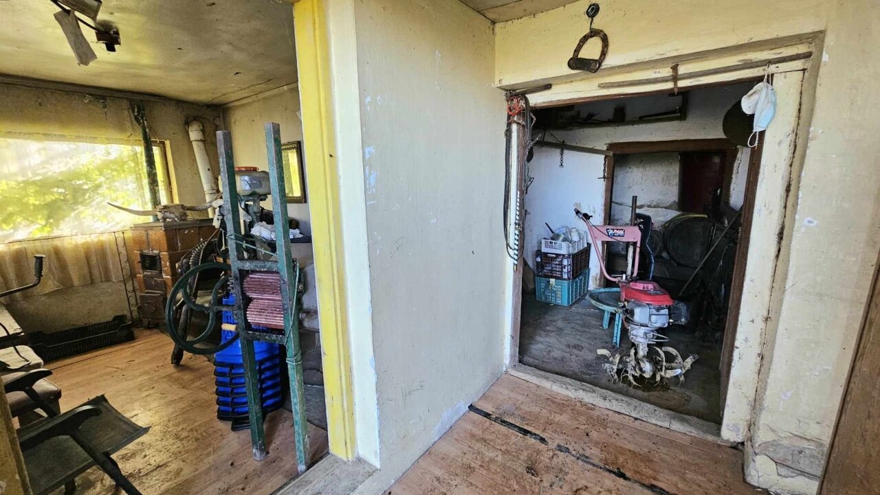 Weingut mit 2 Häusern in der Nähe des Plattensees