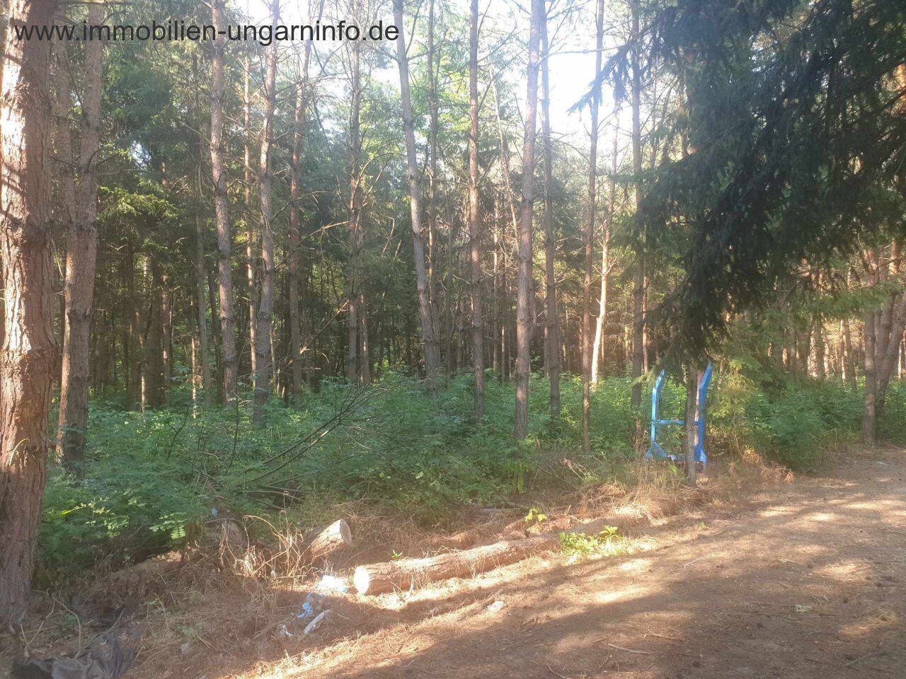 Zu verkaufen 3,2 Hektar großes Familienanwesen mit 3 Häusern, Pool, See, Wald