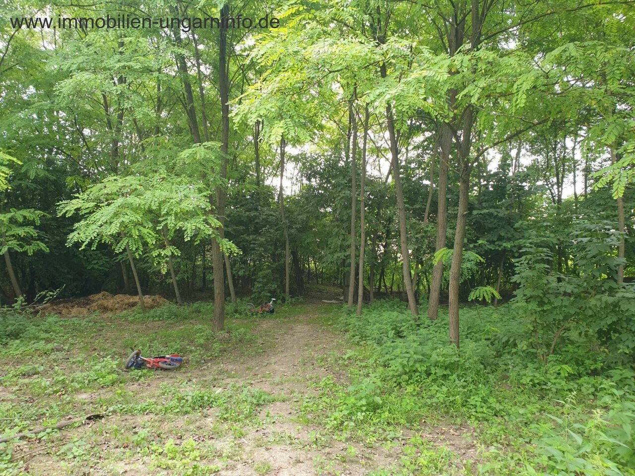 Einfamilienhaus in der Nähe von Kaposvár zu verkaufen