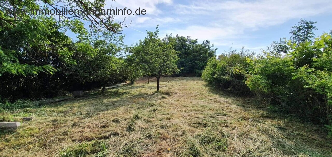 Bewohnbares Keller-/Pressenhaus südlich des Plattensees zu verkaufen