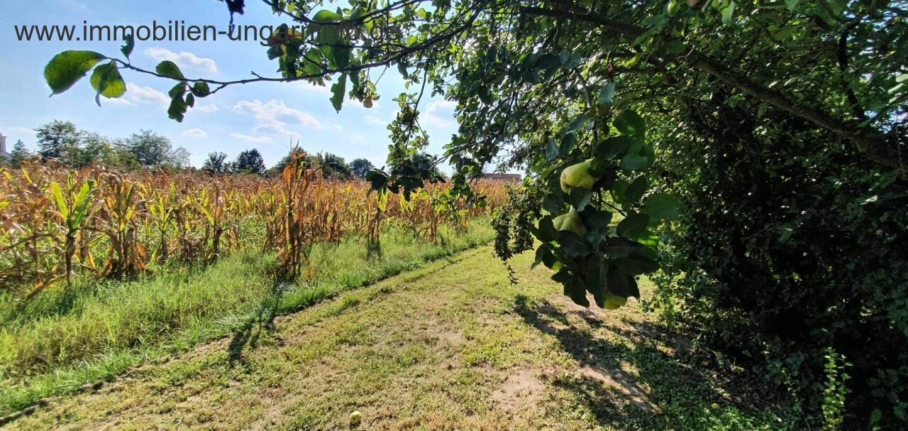 Südlich des Plattensees gut erhaltenes Einfamilienhaus mit großem Grundstück zu verkaufen