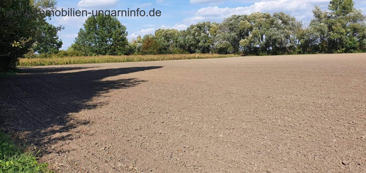 Südlich des Plattensees gut erhaltenes Einfamilienhaus mit großem Grundstück zu verkaufen