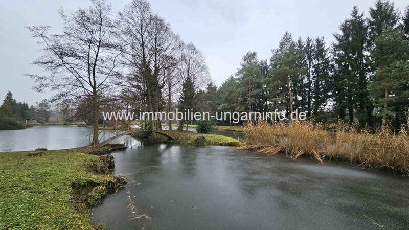 Familienanwesen im Kreis Zala zu verkaufen. Mit Haus am See, Wirtschaftsgebäude, 5,9 Hektar Land.