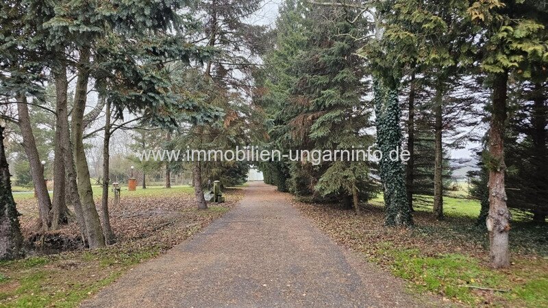 Familienanwesen im Kreis Zala zu verkaufen. Mit Haus am See, Wirtschaftsgebäude, 5,9 Hektar Land.