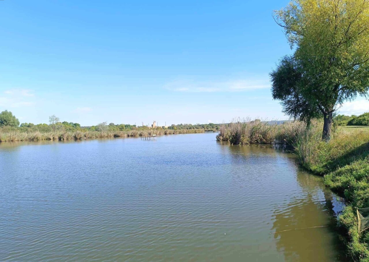 12,5 Hektar Fischteich/Erholungspark in der Region Nord-Balaton zu verkaufen