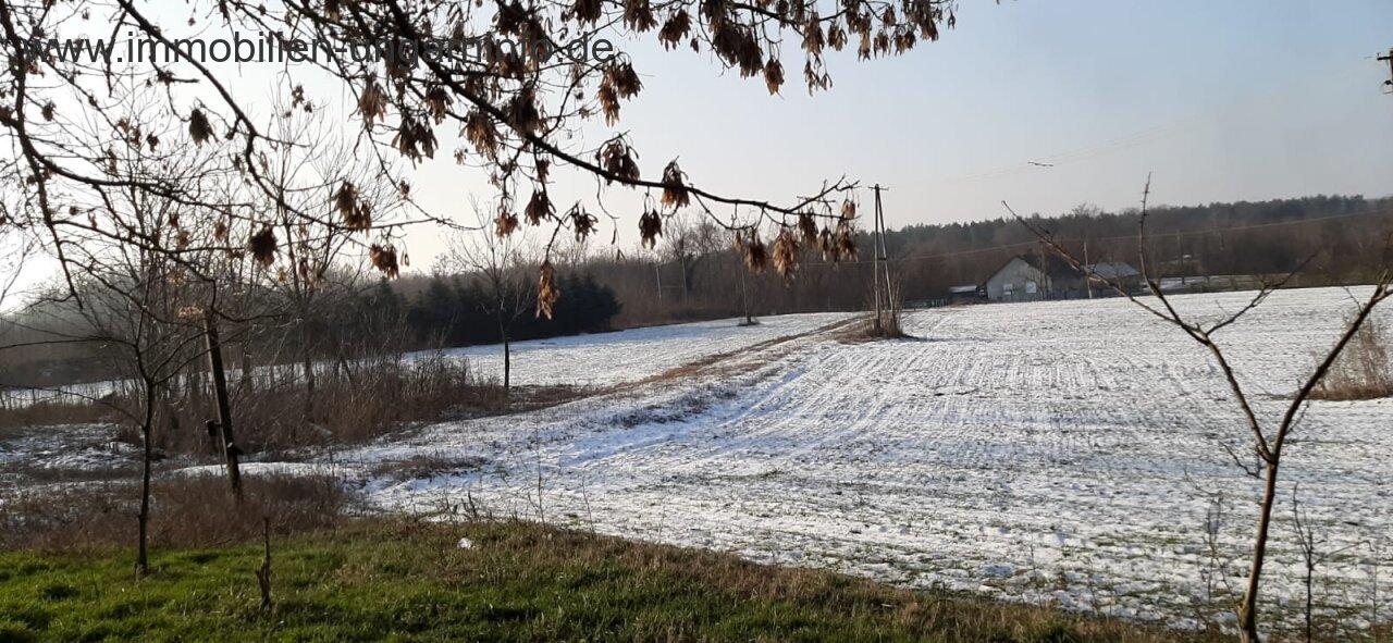 Fűrésztelep a Balatontól délre eladó