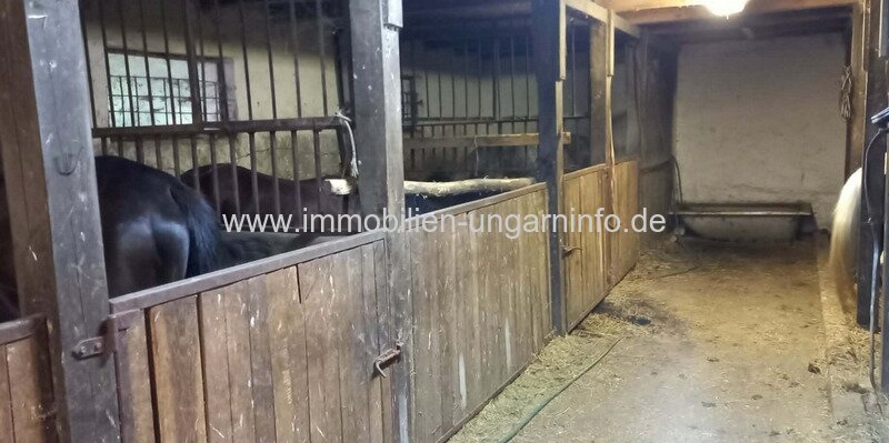 Reiterhof mit Wohnhaus zu verkaufen in Balatonberény