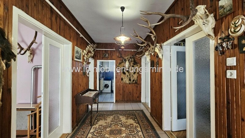 Einfamilienhaus 12 km vom Plattensee