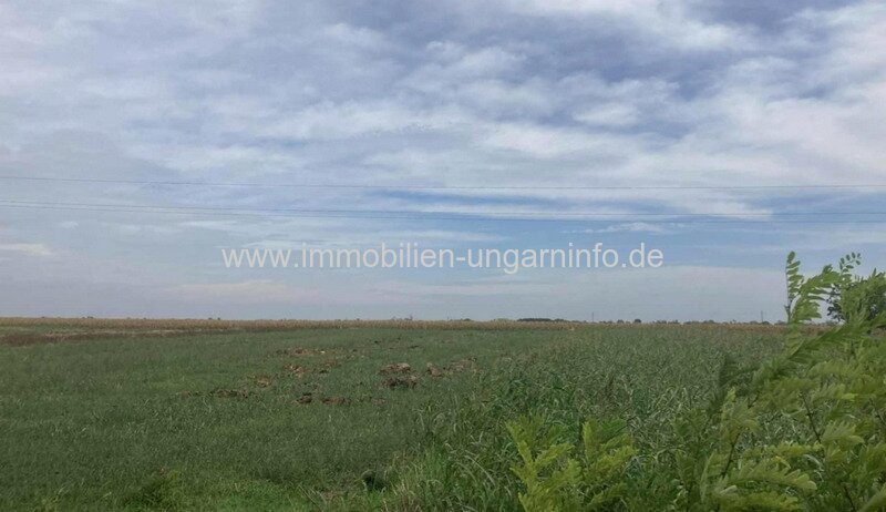 Naturverbundenes Baugrundstück in der Nähe des Balaton (Plattensee)
