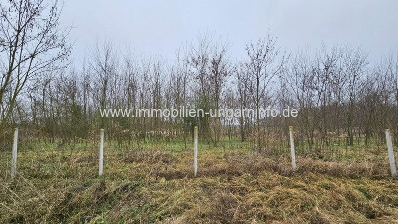 0,68 Hektar großes Grundstück in der Balaton-Region zu verkaufen