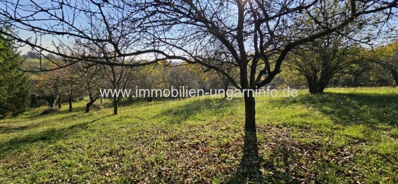 0,45 Hektar geschlossene Garten mit guter Aussicht, in der Nähe der Thermalbäder zu verkaufen in Marcali