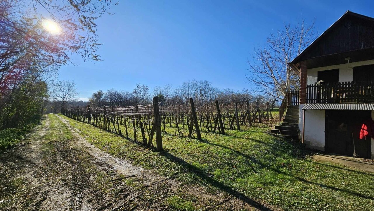 2 Keller/Wochenendhaus mit großem Grundstück in den Weinbergen von Marcali zu verkaufen