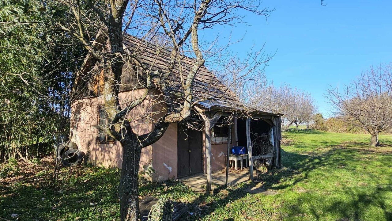 2 Keller/Wochenendhaus mit großem Grundstück in den Weinbergen von Marcali zu verkaufen