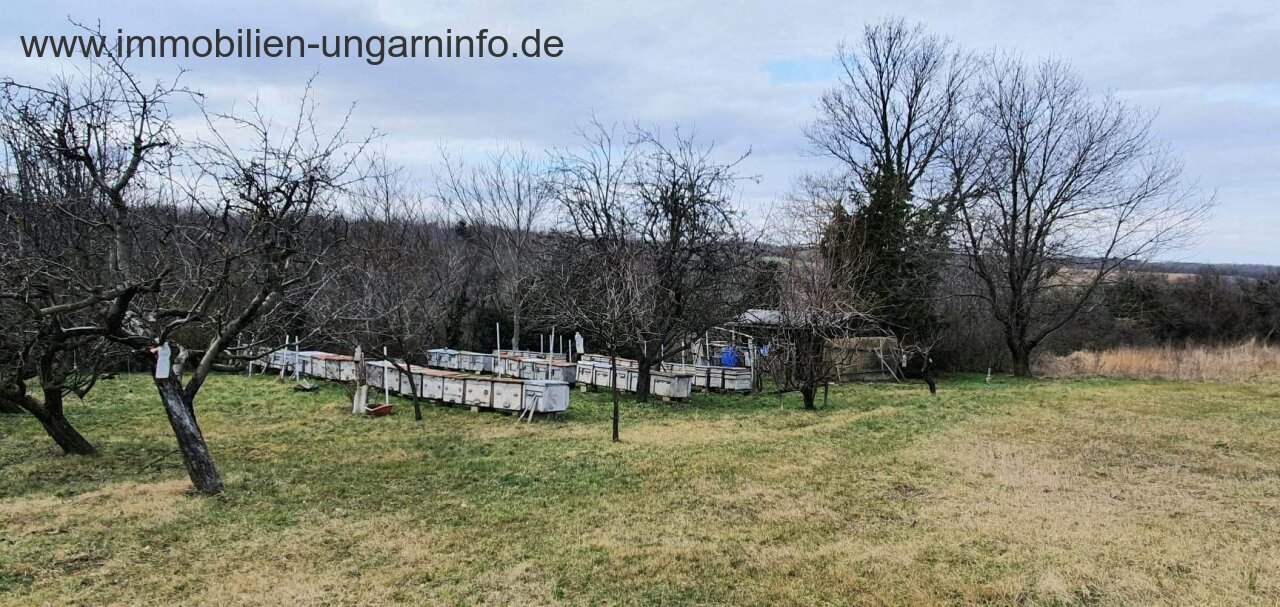 Grundstück in den Weinbergen von Marcali zu verkaufen