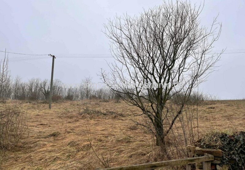 Einfamilienhaus mit großem Grundstück zu verkaufen