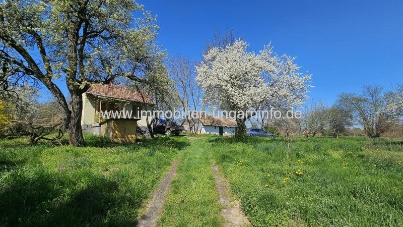 In Marcali Weinberg (Balaton 14 km) komfortables Keller/Wochenendhaus mit Nebengebäude