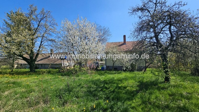 In Marcali Weinberg (Balaton 14 km) komfortables Keller/Wochenendhaus mit Nebengebäude