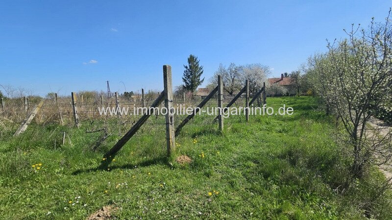 In Marcali Weinberg (Balaton 14 km) komfortables Keller/Wochenendhaus mit Nebengebäude