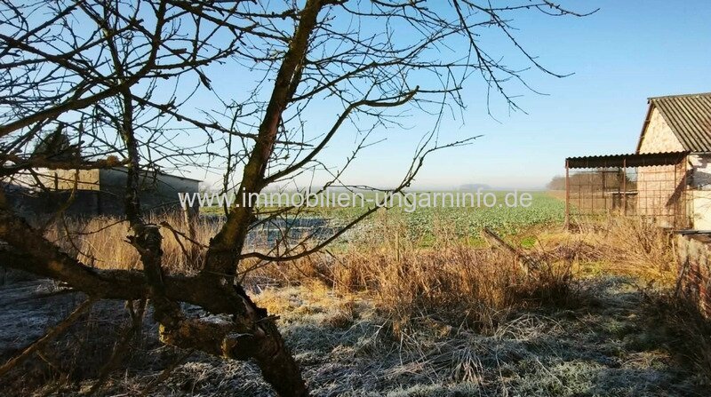 3-Zimmer-Einfamilienhaus mit 1 Hektar Grundstück in Zala Komitat zu verkaufen