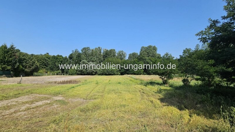 17 km vom Balaton entfernt, sofort bezugsfertiges Einfamilienhaus mit großem Grundstück