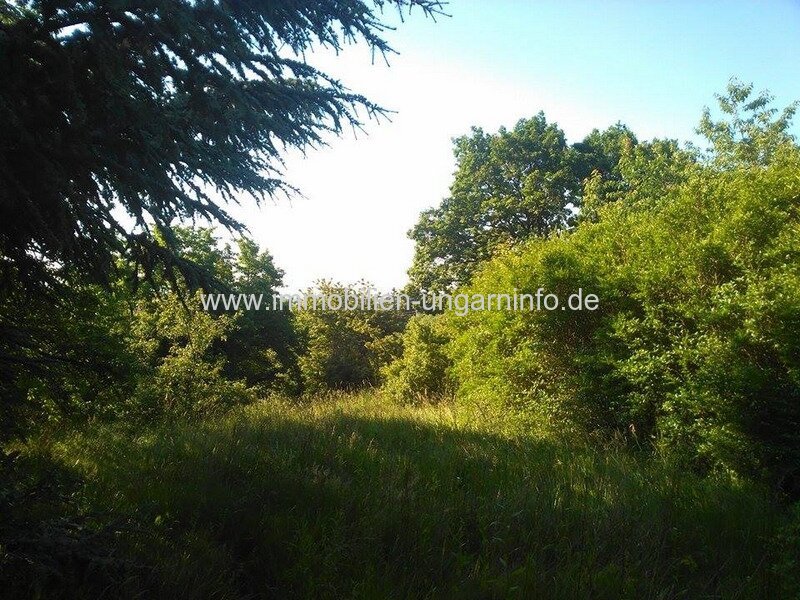 Wochenendhaus mit großem Grundstück an der österreichischen Grenze in Kőszeg