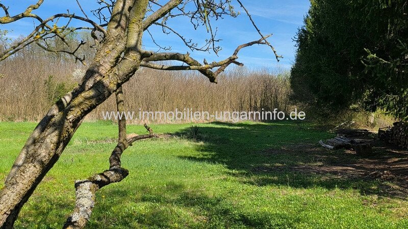 Bezugsfertiges Bauernhaus in der Nähe des Balaton