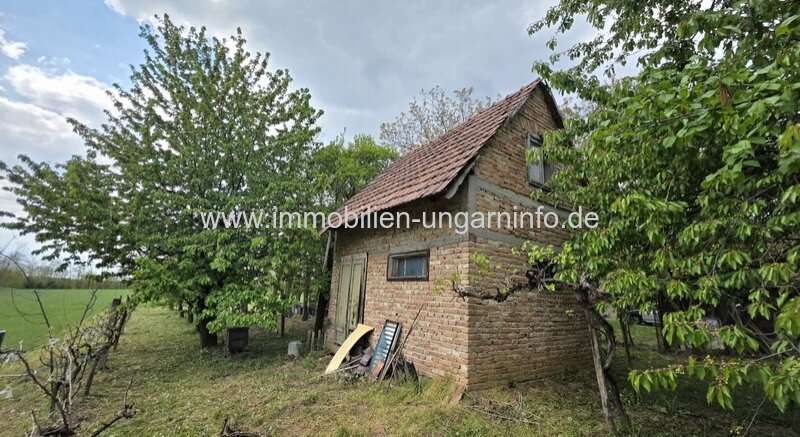 Weinberg in Öreglak (Komitat Somogy) - 2 zusammenhängende Grundstücke mit Haus und Wald