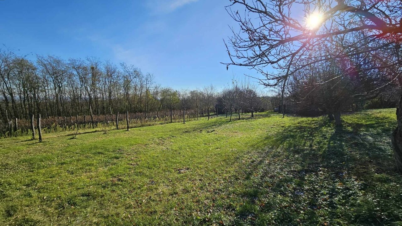 2 Keller/Wochenendhaus mit großem Grundstück in den Weinbergen von Marcali zu verkaufen