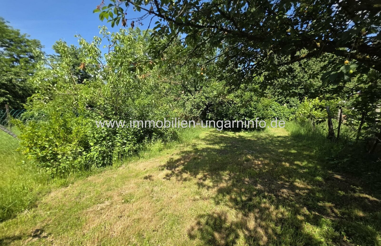 Einfamilienhaus in Marcali in grüner Umgebung zu verkaufen