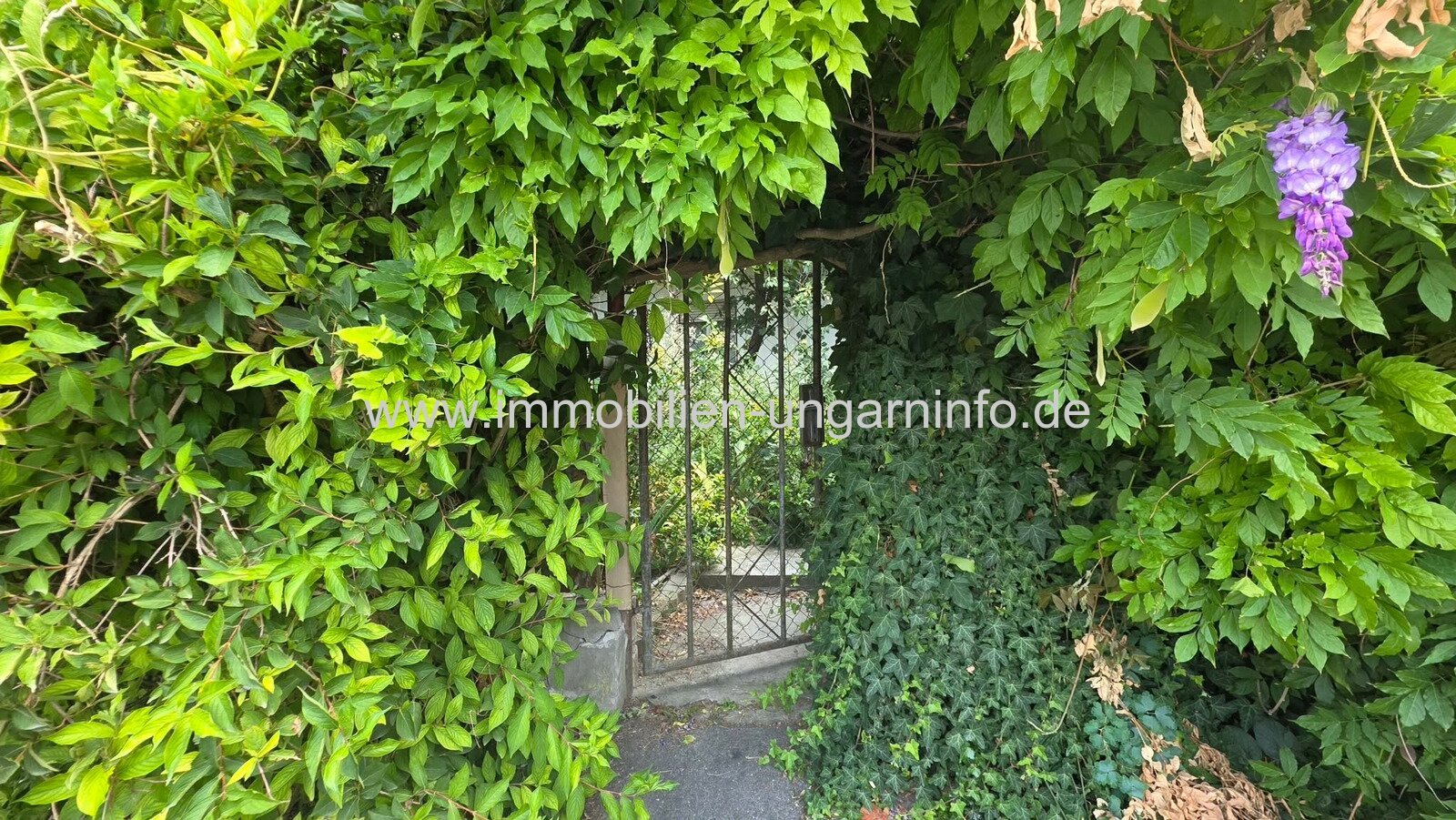 Zweistöckiges Einfamilienhaus im Stadtzentrum von Pacsa zu verkaufen