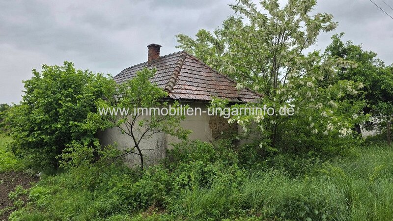 Familienhaus im Landhausstil am Dorfrand mit großem Grundstück zu verkaufen 