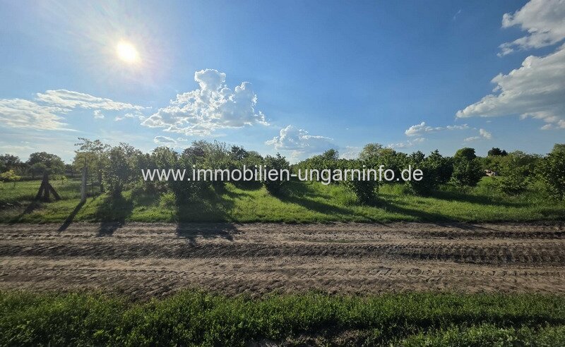 In Balatonszabadi steht ein Zweifamilienhaus mit großem Grundstück zum Verkauf