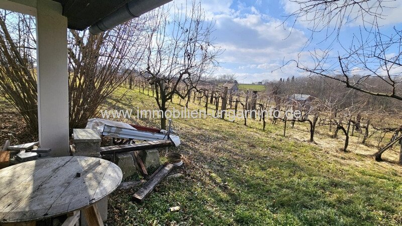 Keller/Wochenendhaus mit Panoramagrundstück im Weinberg Kéthely zu verkaufen