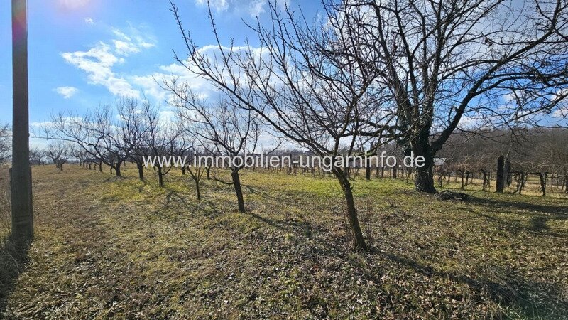 Keller/Wochenendhaus mit Panoramagrundstück im Weinberg Kéthely zu verkaufen