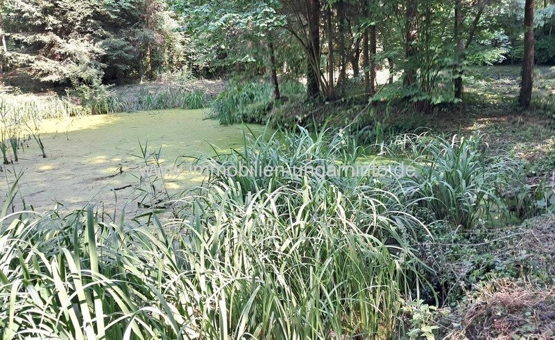 Geschlossene Garten mit See und Wald in der Nähe von Nagykanizsa zu verkaufen