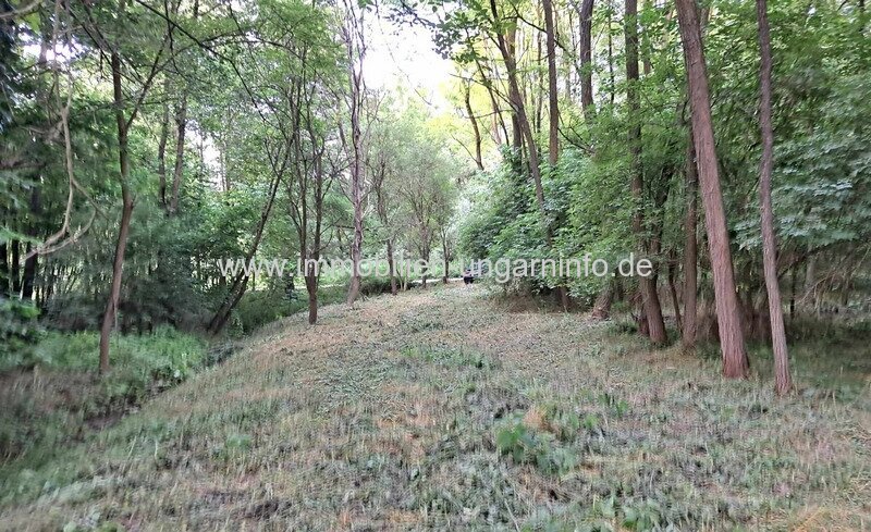 Geschlossene Garten mit See und Wald in der Nähe von Nagykanizsa zu verkaufen