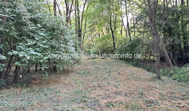 Geschlossene Garten mit See und Wald in der Nähe von Nagykanizsa zu verkaufen